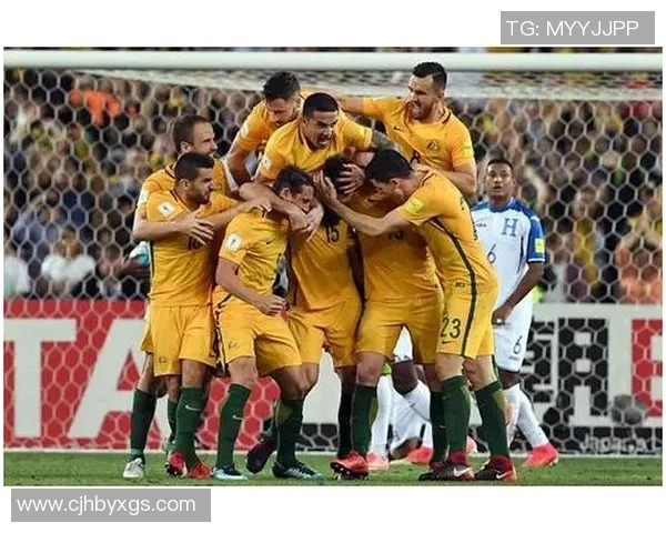 武汉排球队在世界杯中的默契配合与战术分析