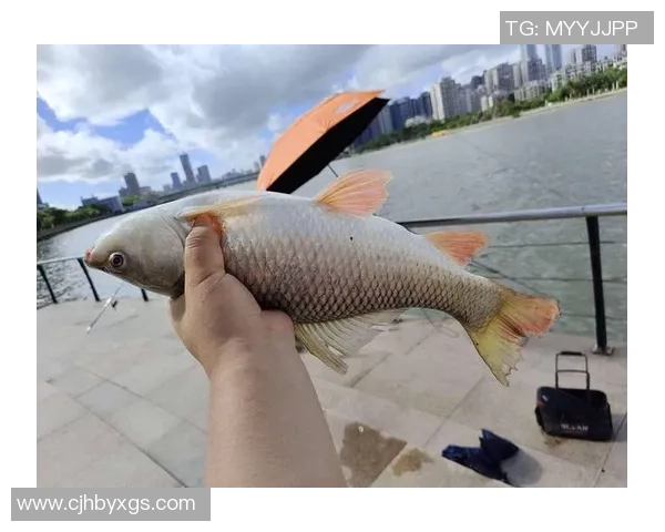 足球明星的钓友们如何在绿茵场外找到共同的乐趣与友谊 足球明星的钓友们如何在绿茵场外找到共同的乐趣与友谊