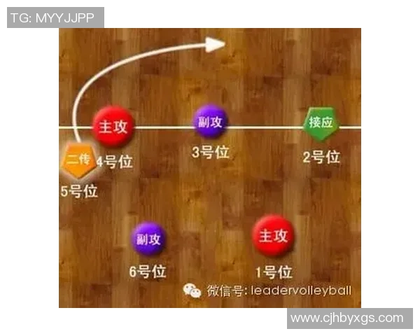 重庆乒乓球队快攻战术揭秘与训练深度分析